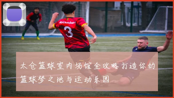 太仓篮球室内场馆全攻略打造你的篮球梦之地与运动乐园