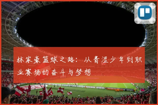 林家豪篮球之路：从青涩少年到职业赛场的奋斗与梦想