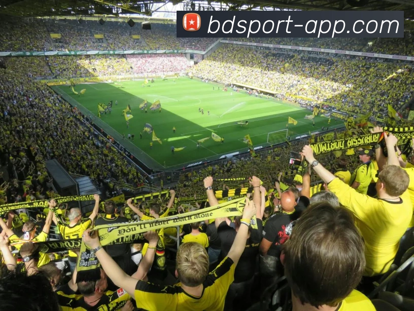 半岛体育平台生态图