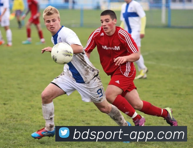 半岛体育全站App